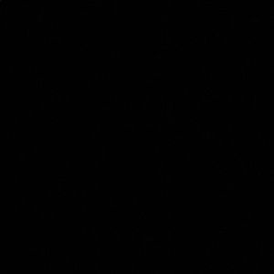 Meet your Posher, Xavier